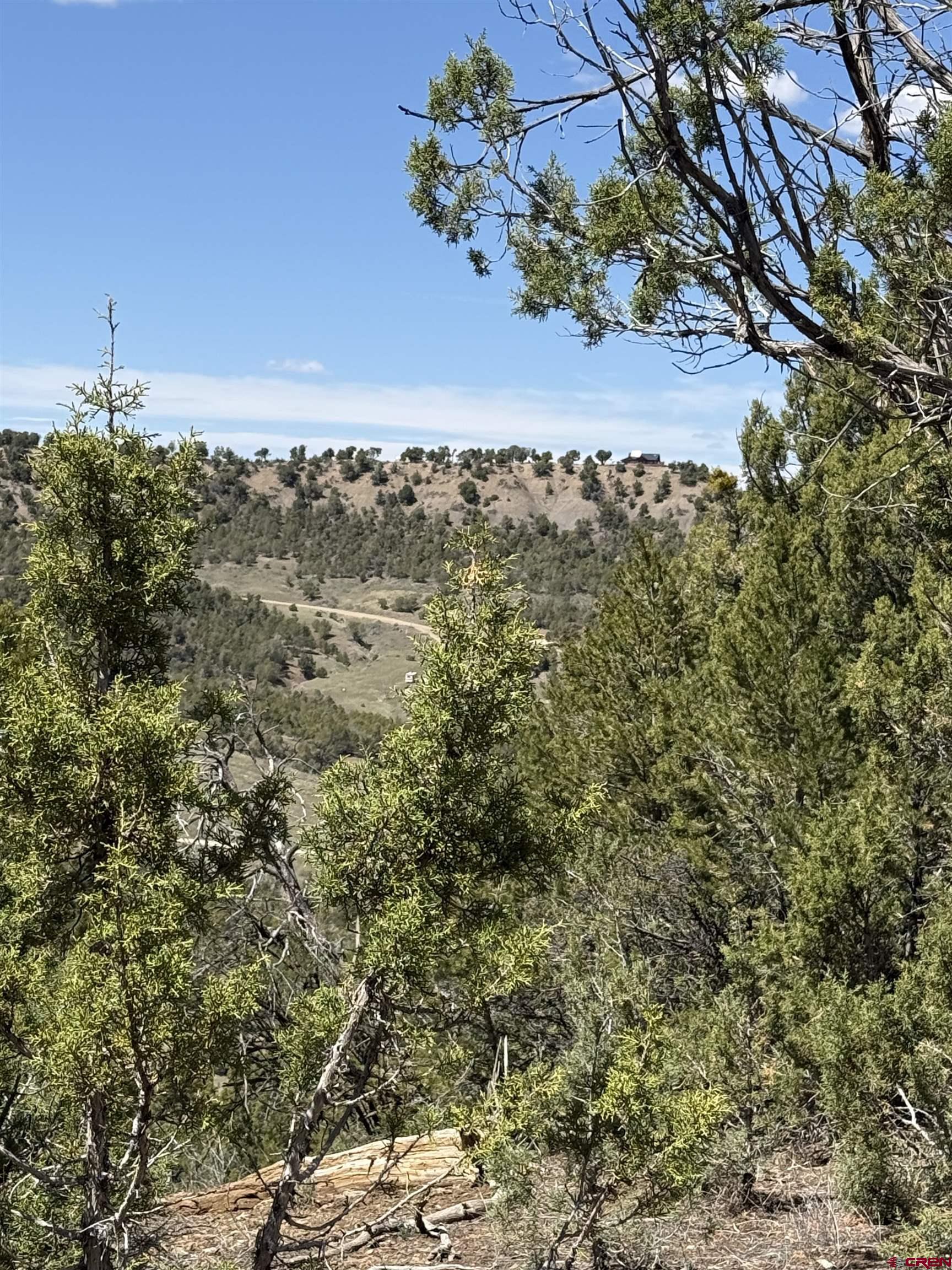J8 Rd Mancos Co 81328 Road Mancos, CO 81328 - Photo 3 of 12 a view of a bunch of trees
