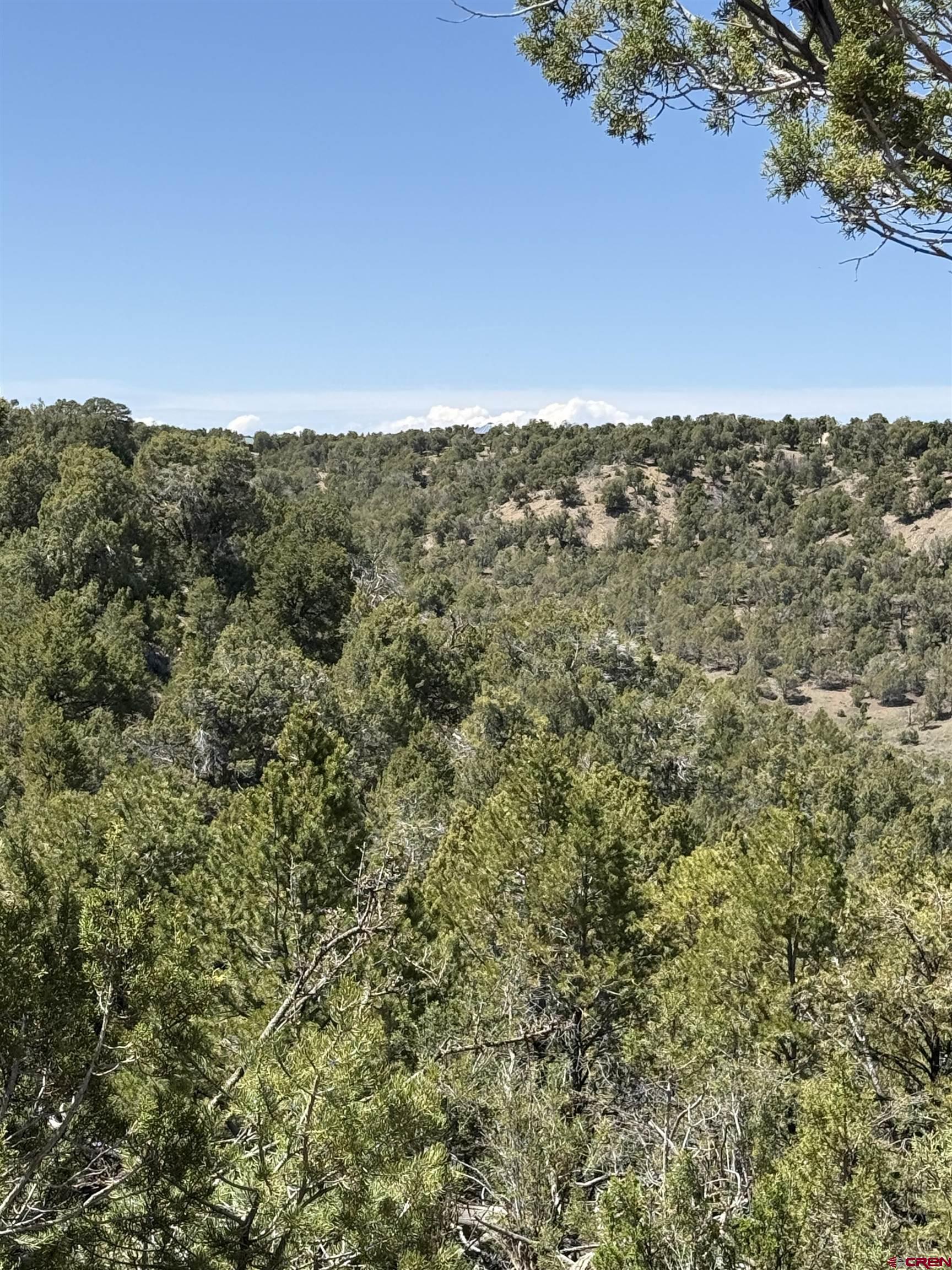 J8 Rd Mancos Co 81328 Road Mancos, CO 81328 - Photo 4 of 12 a view of a sky