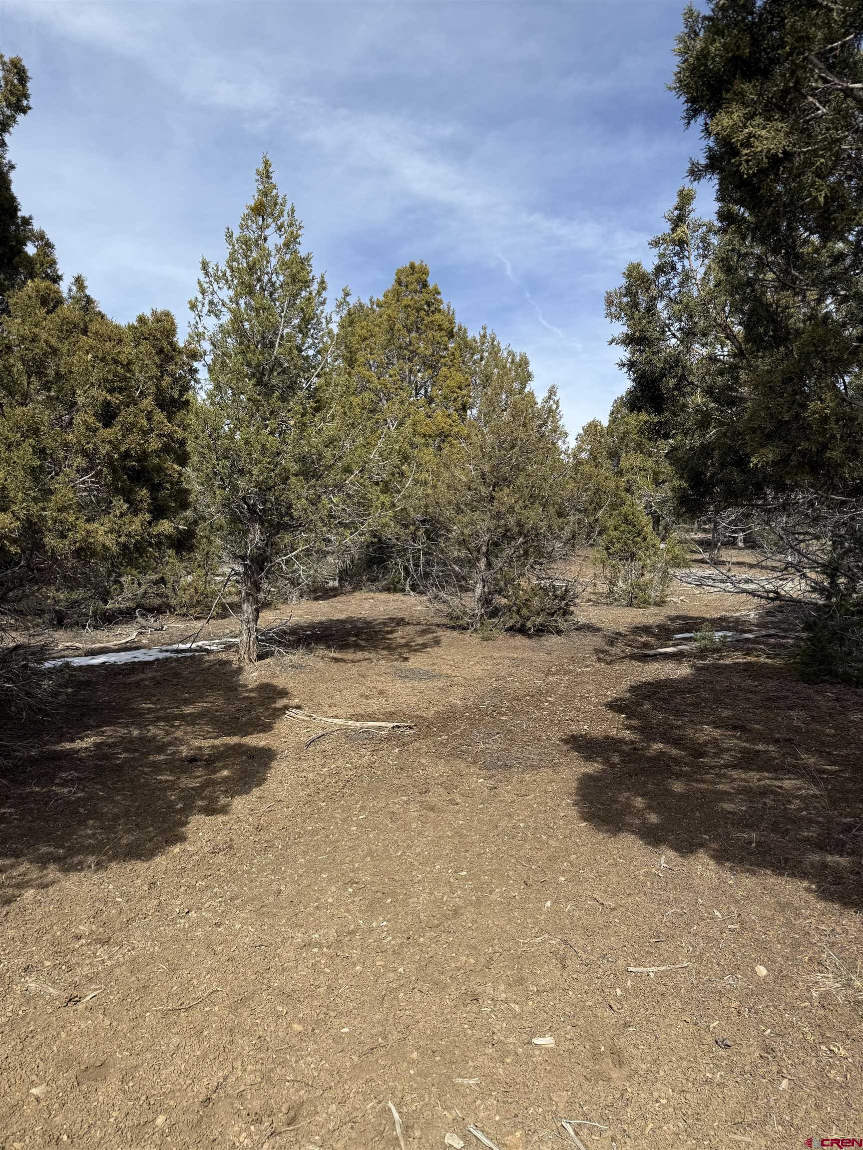 J8 Rd Mancos Co 81328 Road Mancos, CO 81328 - Photo 6 of 12 a view of dirt field with trees