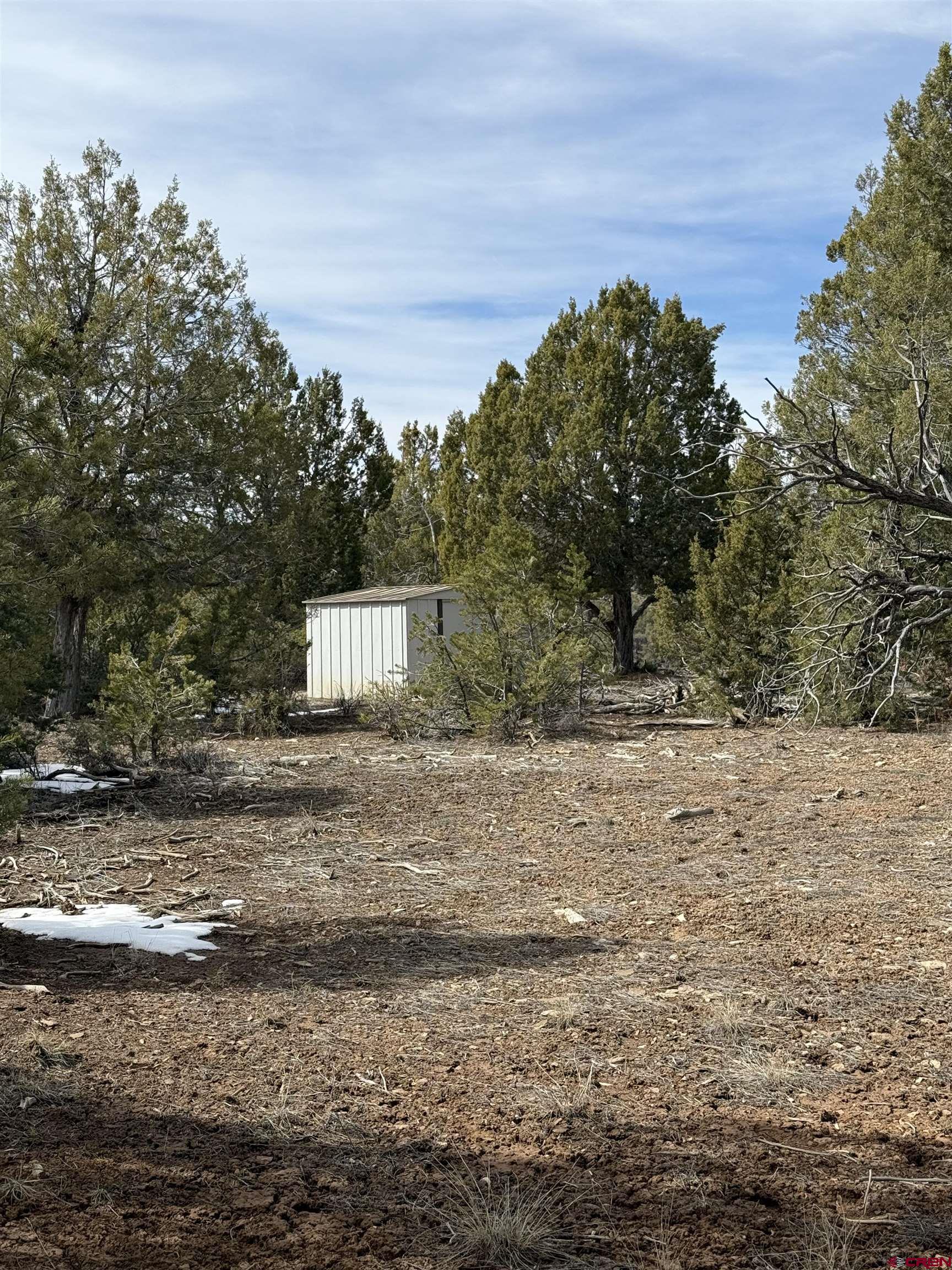 J8 Rd Mancos Co 81328 Road Mancos, CO 81328 - Photo 8 of 12 a view of a dry yard with trees