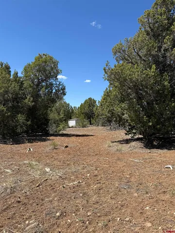 $158,000 | J8 Rd Mancos Co 81328 Road, Mancos, CO 81328