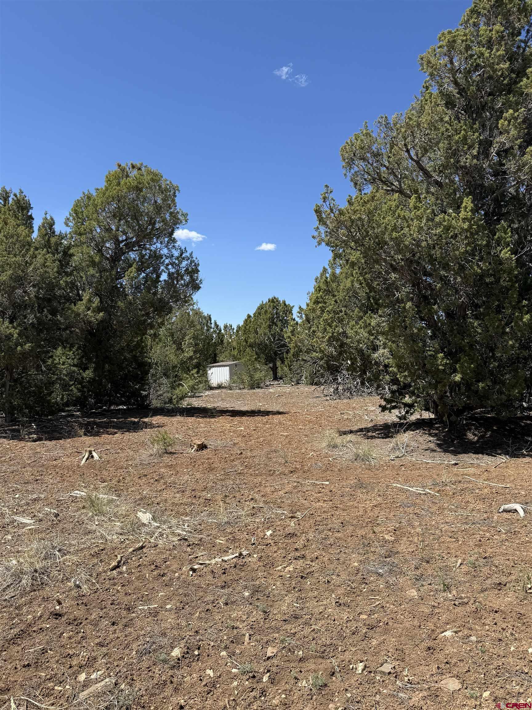 J8 Rd Mancos Co 81328 Road Mancos, CO 81328 - Photo 10 of 12 a view of large trees with yard