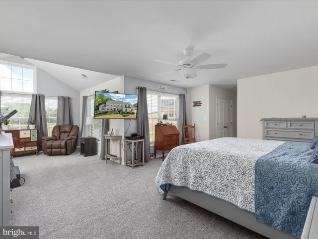 a view of a yard with large trees and a wooden fence