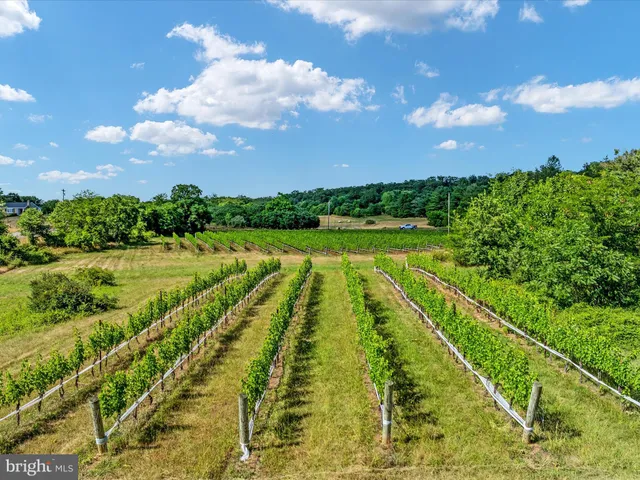 $759,900 | 131 Chanterelle Court, Stephens City, VA 22655