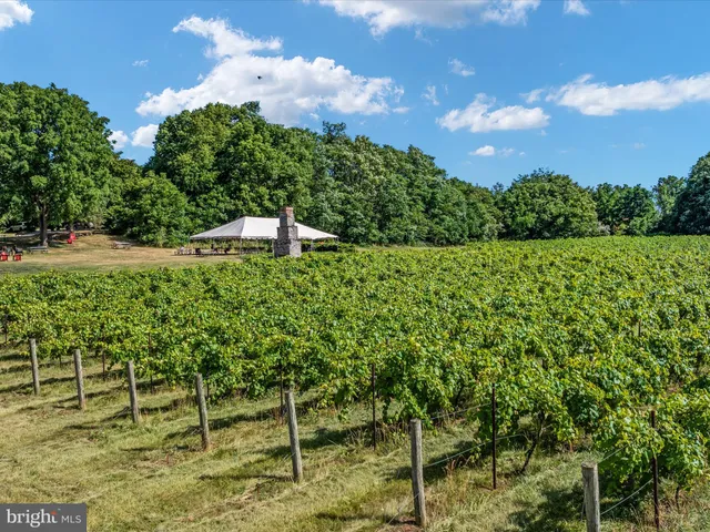 $759,900 | 131 Chanterelle Court, Stephens City, VA 22655