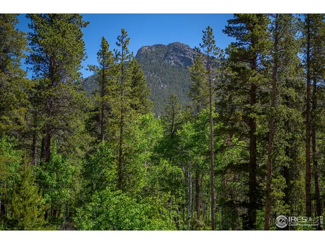 $939,000 | 1217 Big Owl Road, Allenspark, CO 80510