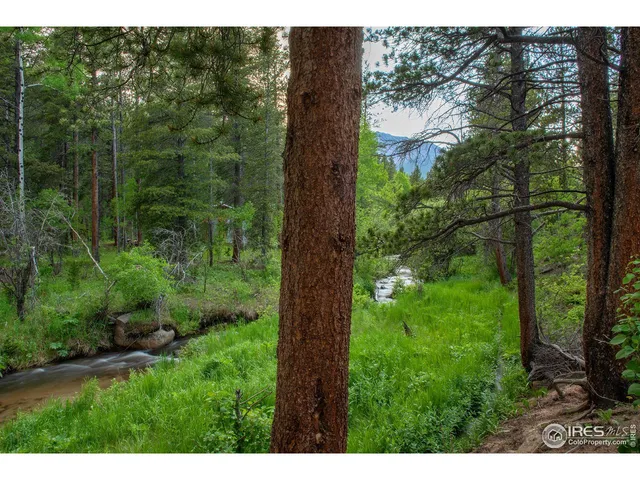 $939,000 | 1217 Big Owl Road, Allenspark, CO 80510