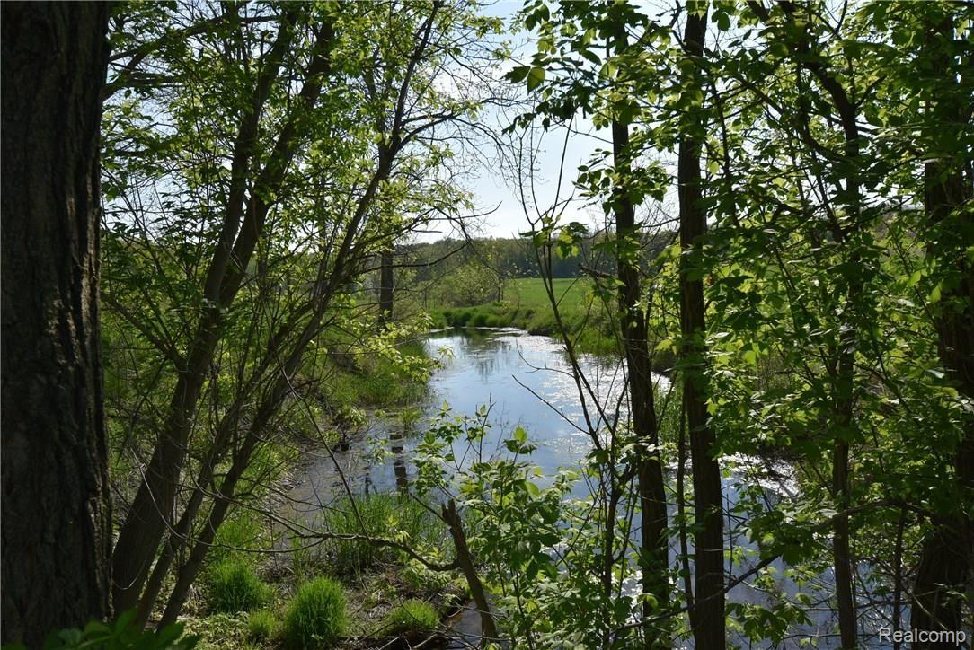 7196 Washburn Road Goodrich, MI 48438 - Photo 86 of 89 DSC_5143 (1).JPG