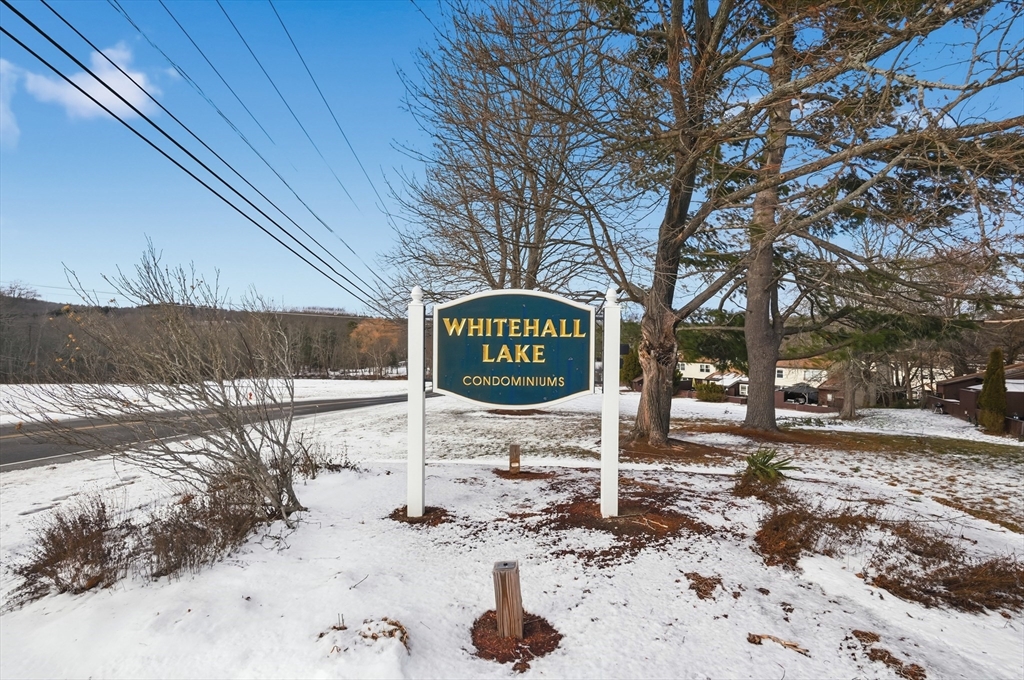 6 Adams Court, Unit 6 Amesbury, MA 01913 - Photo 1 of 22 a view of a park with a tree