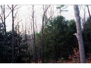 0 Rte107/munsey Hill Road Gilmanton, NH 03237 - Photo 3 of 6
