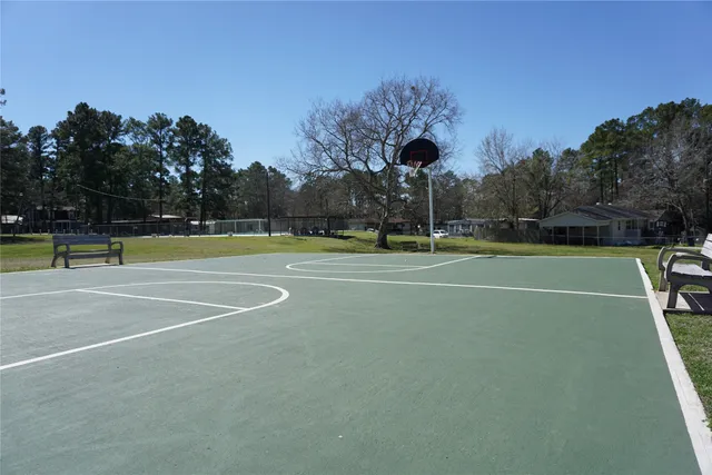 a view of a park with large trees
