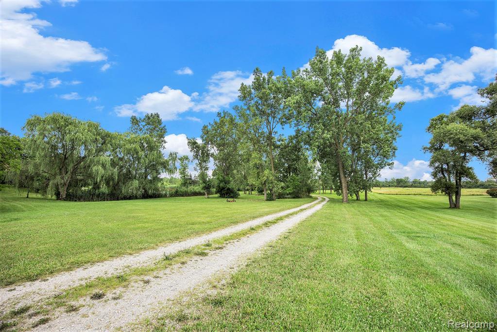 29988 Armada Ridge Road Richmond, MI 48062 - Photo 6 of 25