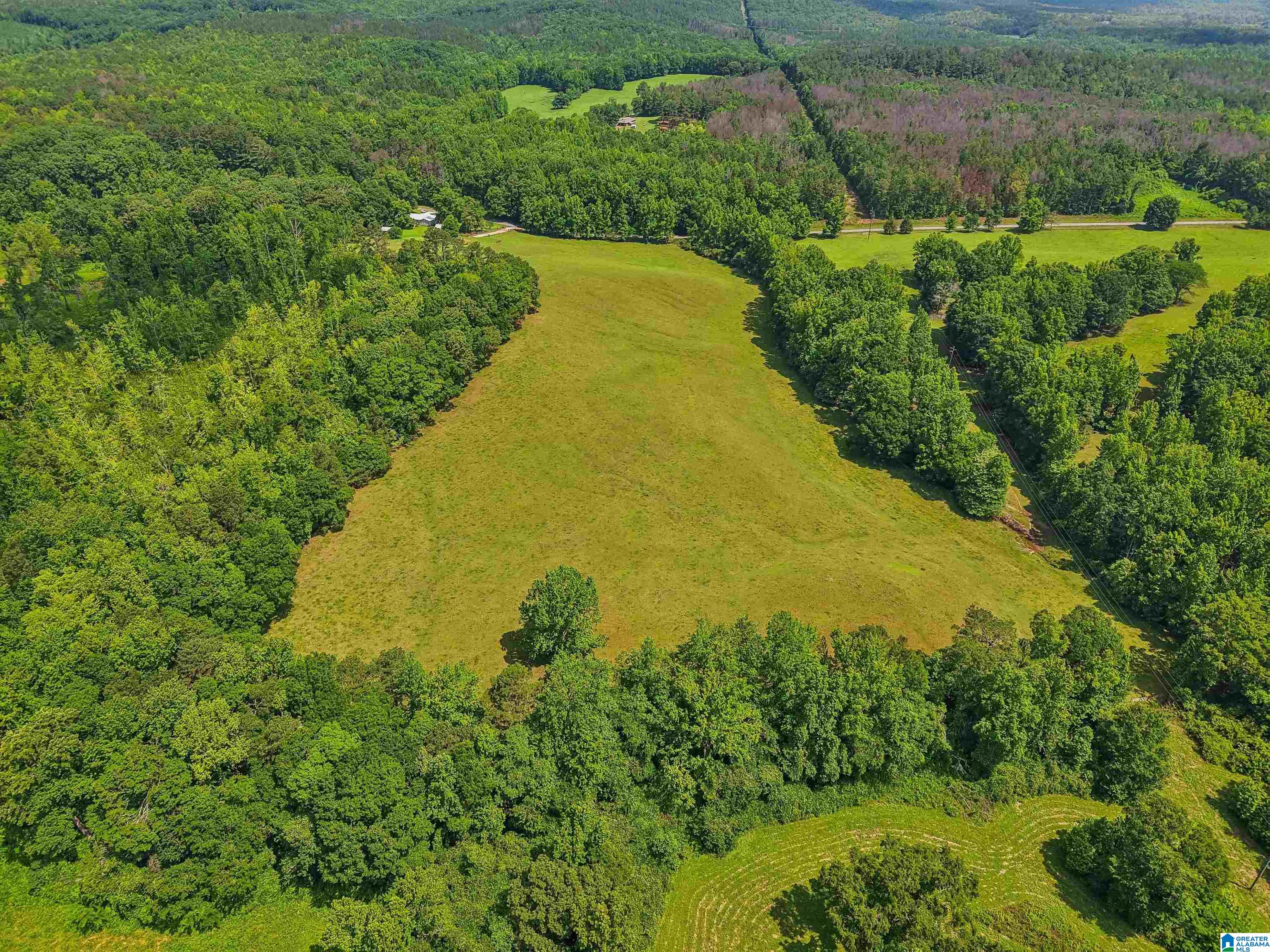 2026 Tyson Road Ashland, AL 36251 - Photo 16 of 63