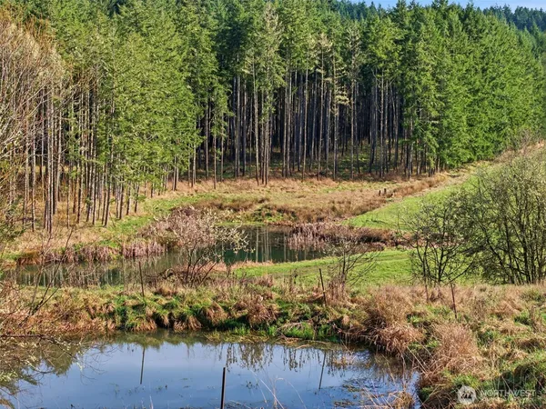 a view of backyard with wooden fence