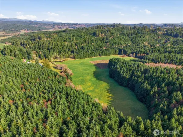 a view of a lush green outdoor space with a lake view