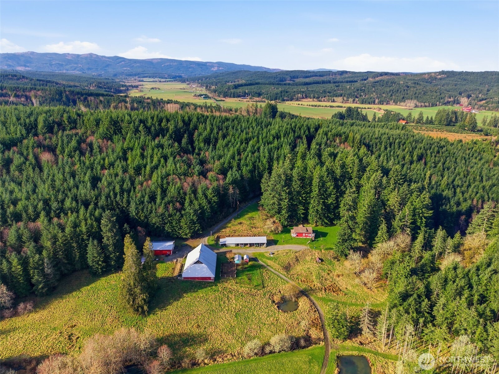 211 Echo Road Rochester, WA 98579 - Photo 35 of 39 a view of a lake with a mountain in the background