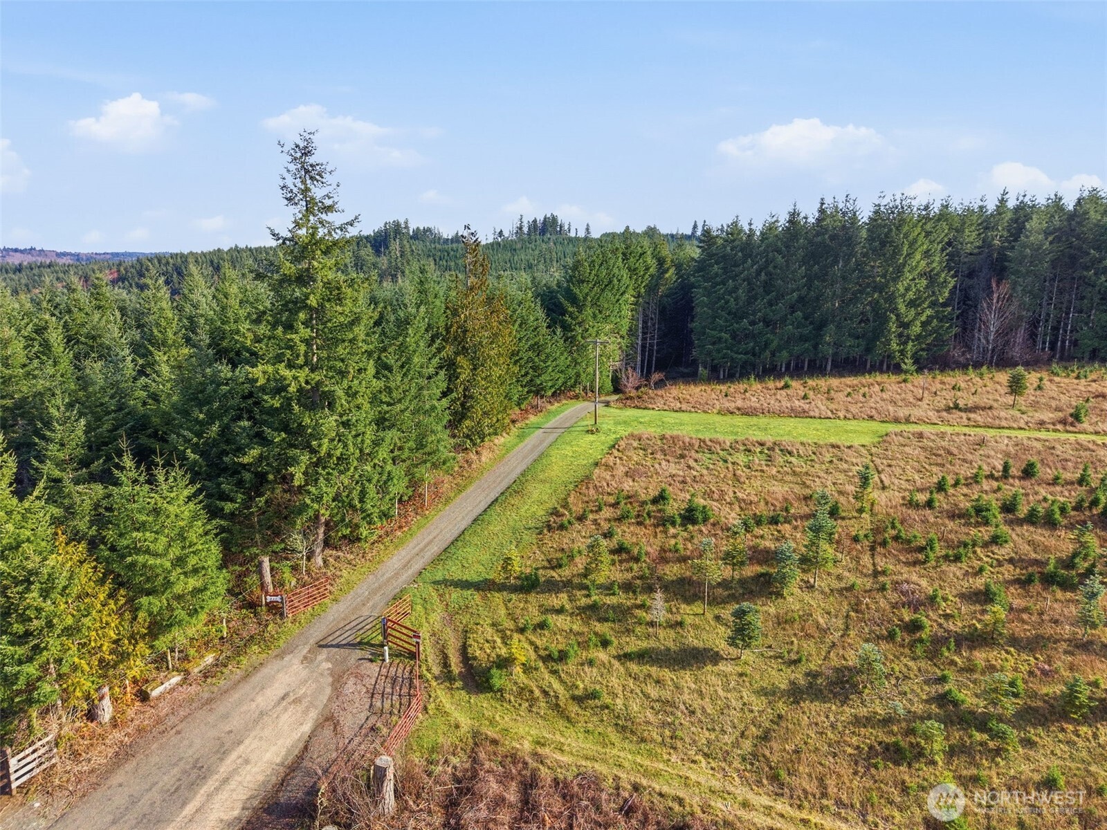 211 Echo Road Rochester, WA 98579 - Photo 37 of 39 a view of an outdoor space and a yard
