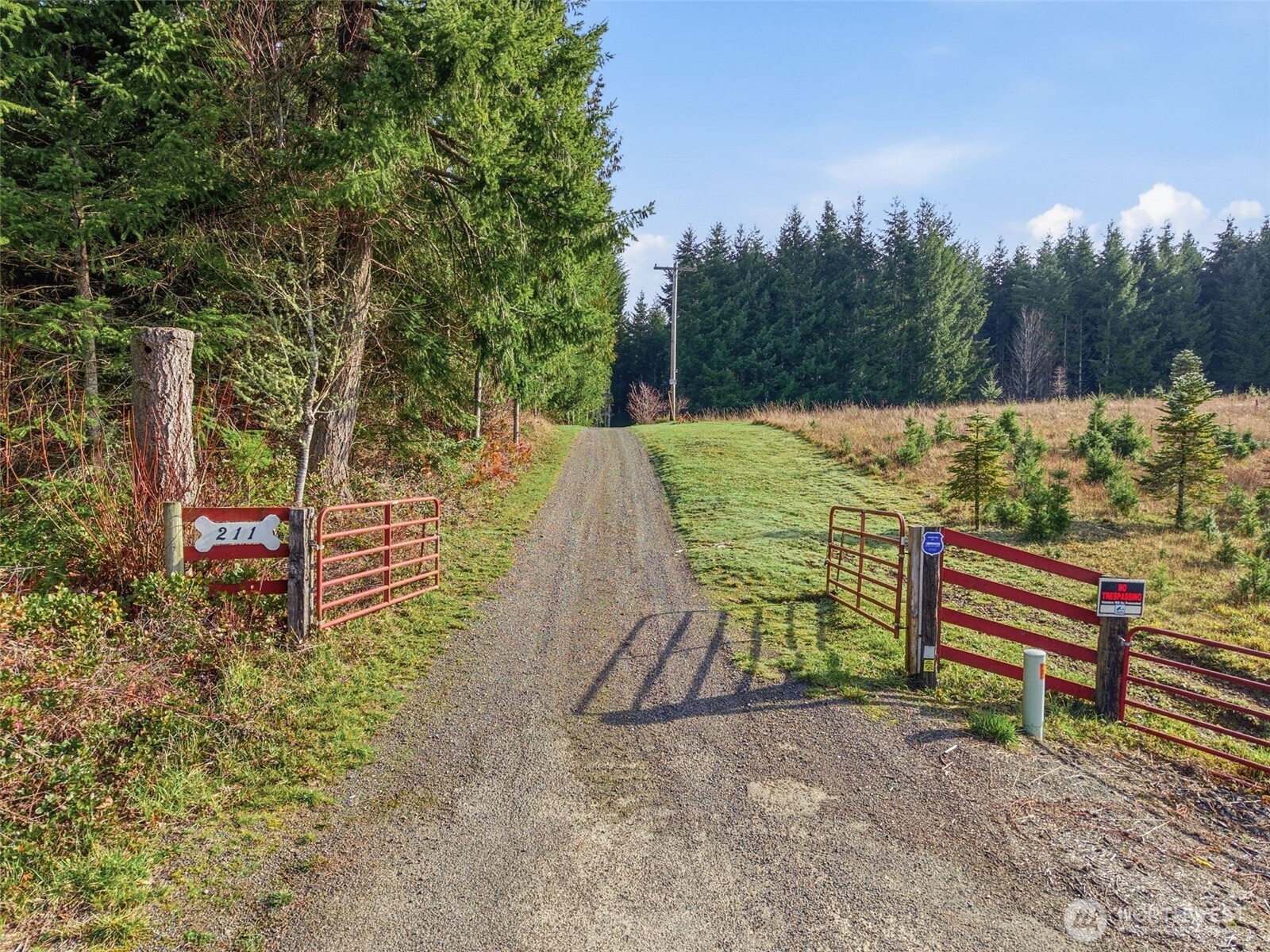 211 Echo Road Rochester, WA 98579 - Photo 39 of 39 a view of outdoor space with seating