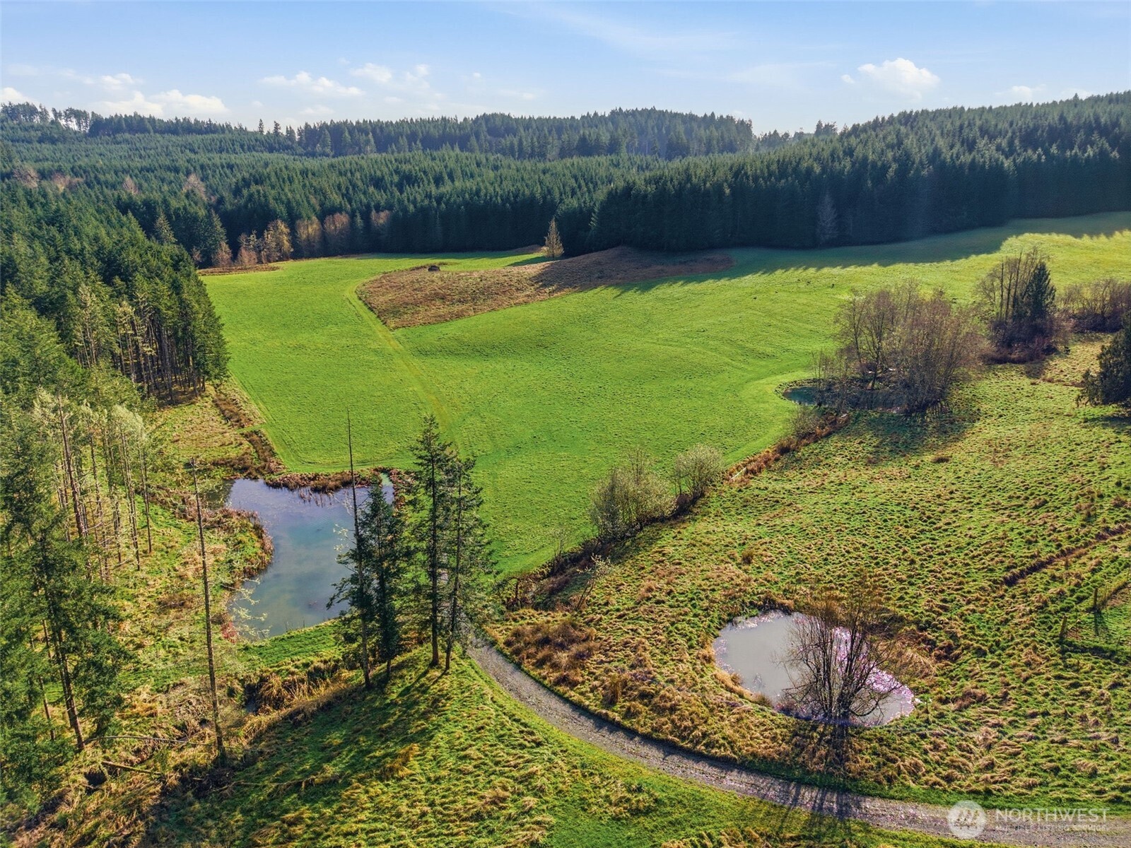 211 Echo Road Rochester, WA 98579 - Photo 10 of 39 a view of a lake with a yard and large trees