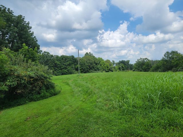 2035 Mt Hebron Road Makanda, IL 62958 - Photo 40 of 44