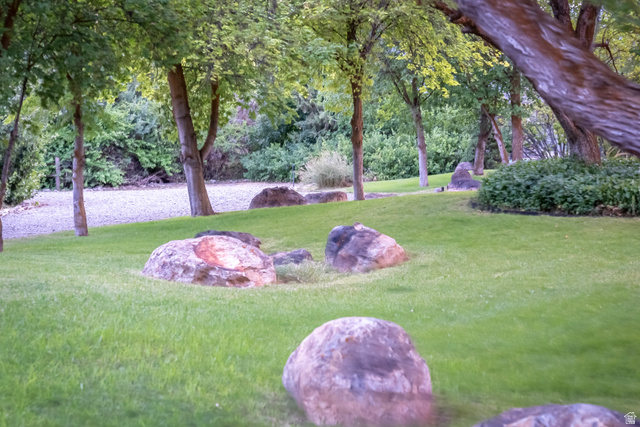 435 Canyon Road Millville, UT 84326 - Photo 84 of 113 Expansive green lawn featuring mature trees and scattered natural boulders
