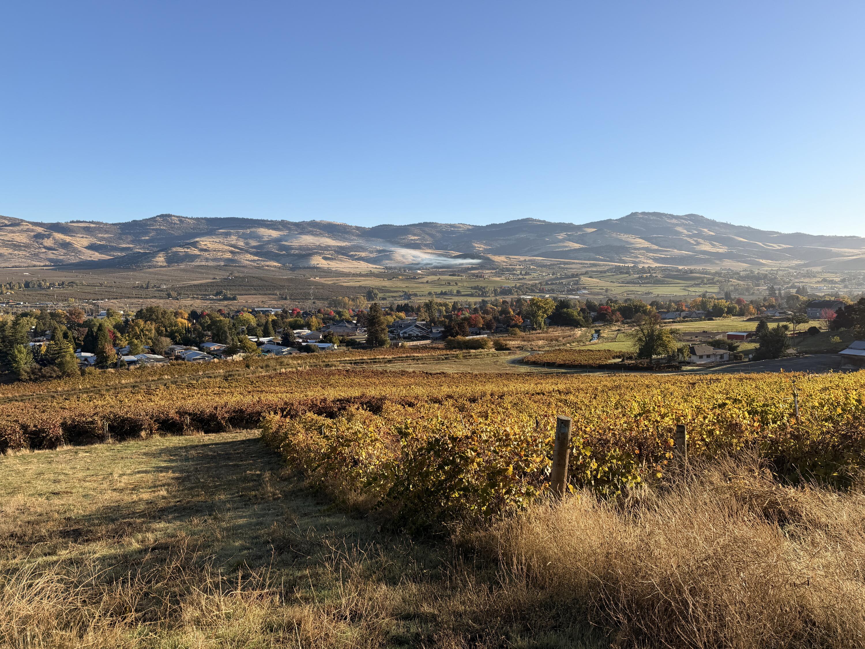 202 Pleasant View Talent, OR 97540 - Photo 9 of 65 Vineyard