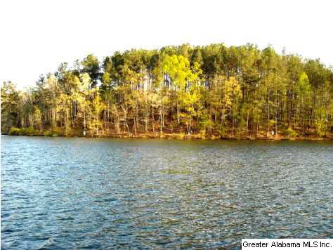 Lot 24 Sunset Ridge, Unit 24 Wedowee, AL 36278 - Photo 4 of 7