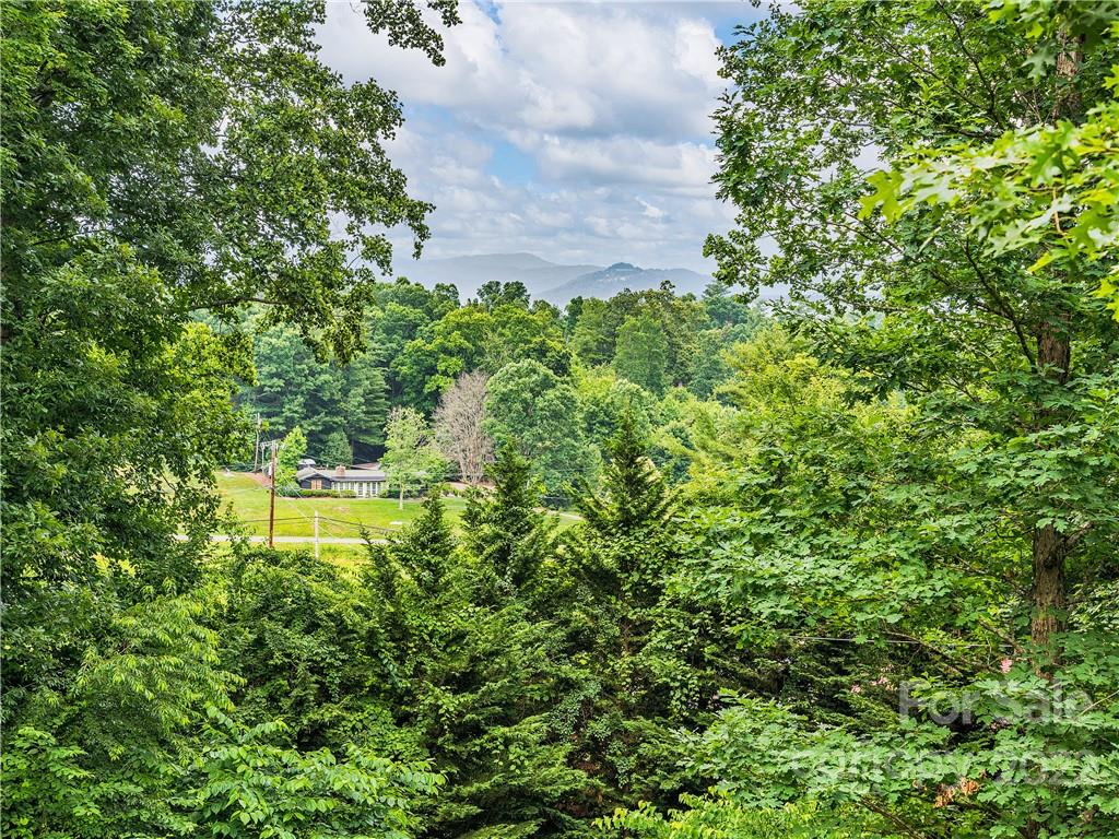 16 Brennan Ridge Alexander, NC 28701 - Photo 5 of 35 Gallery Image 5