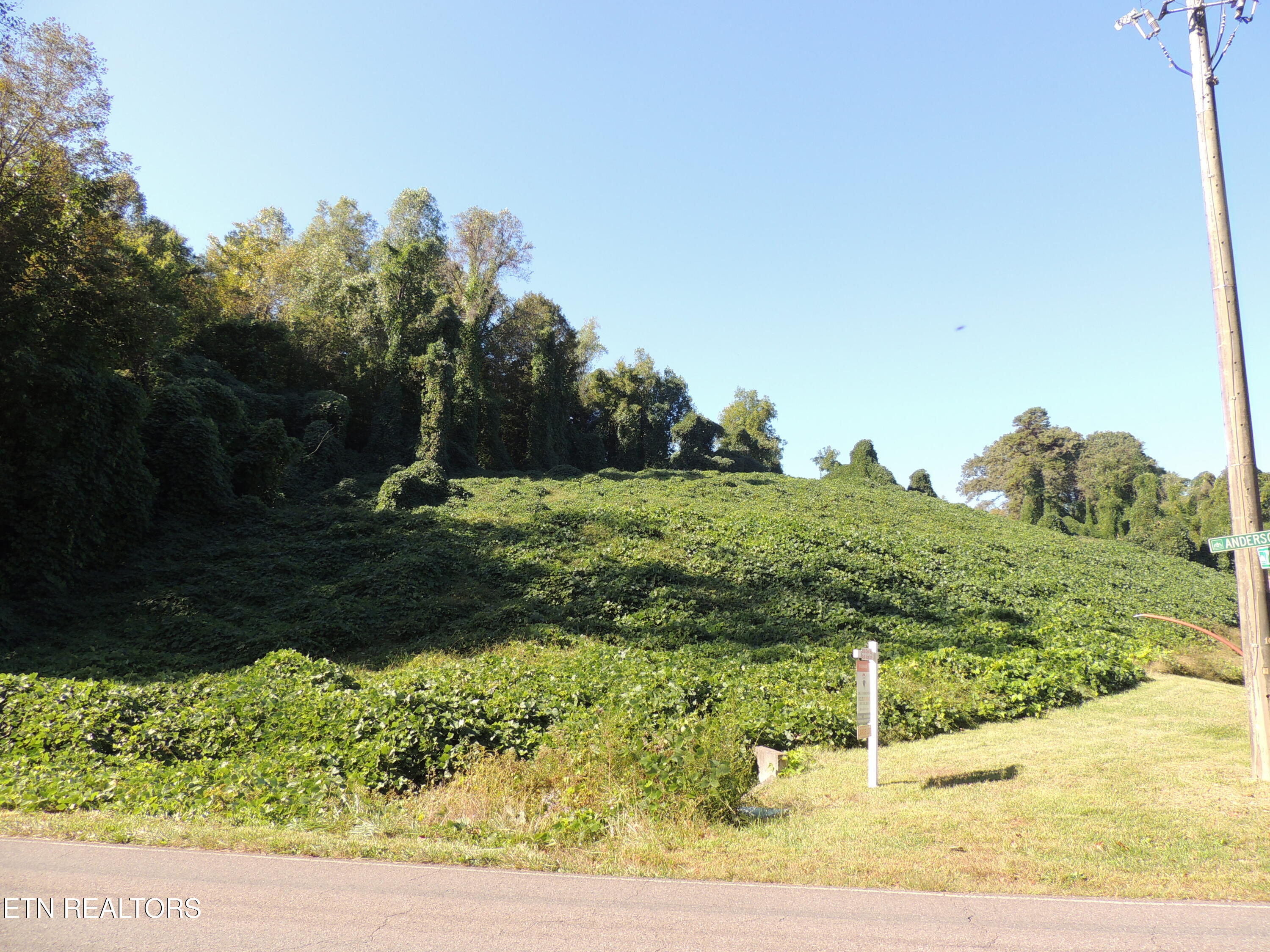 8548 Zinc Road Knoxville, TN 37938 - Photo 7 of 14 8548 Zinc Rd
