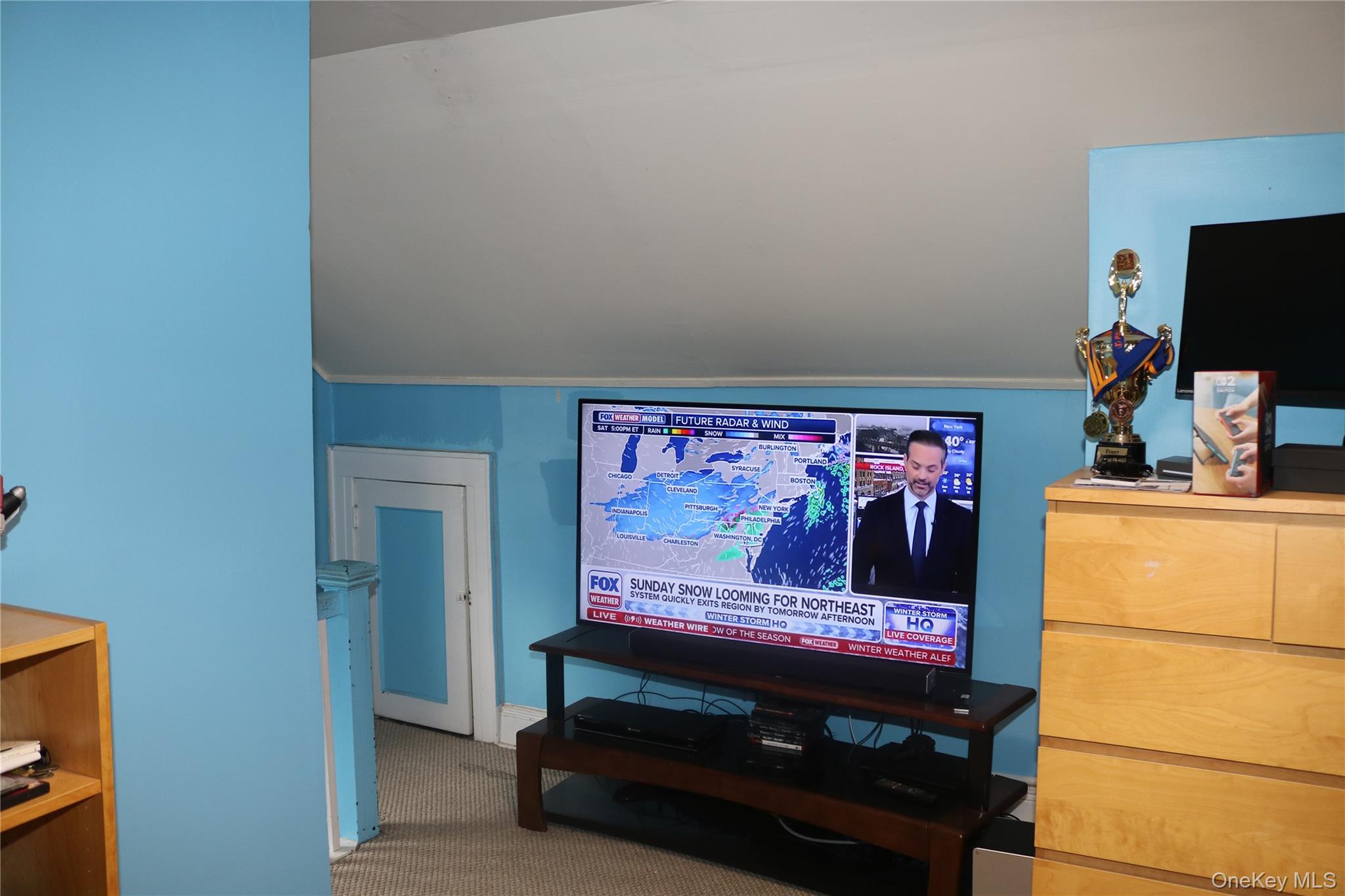 230-15 88th Avenue Queens, NY 11427 - Photo 18 of 29