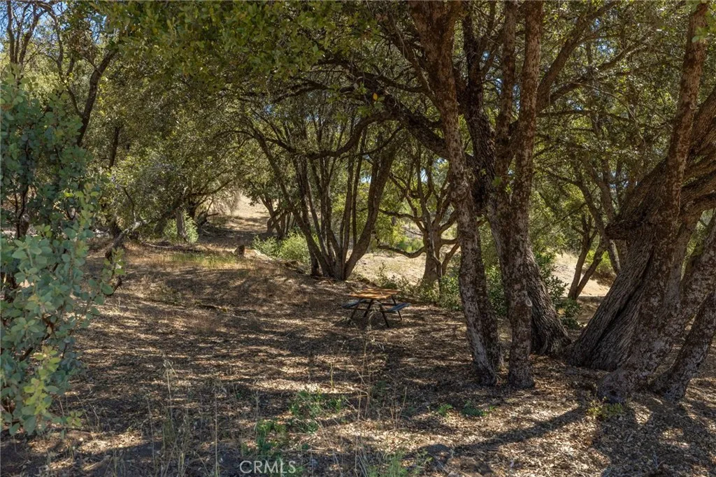 49 Old Yosemite Road Oakhurst, CA 93644 - Photo 9 of 41