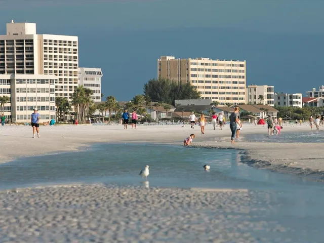 a view of a volley ball court