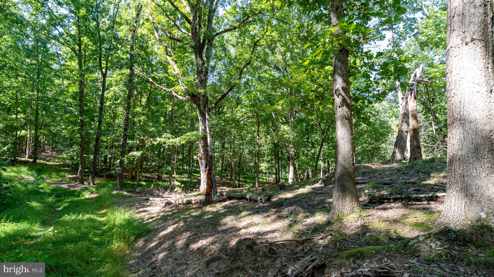 229 Inspiration Road Upper Tract, WV 26866 - Photo 22 of 30 Gallery Image 22