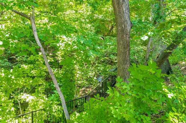 a view of a lush green forest
