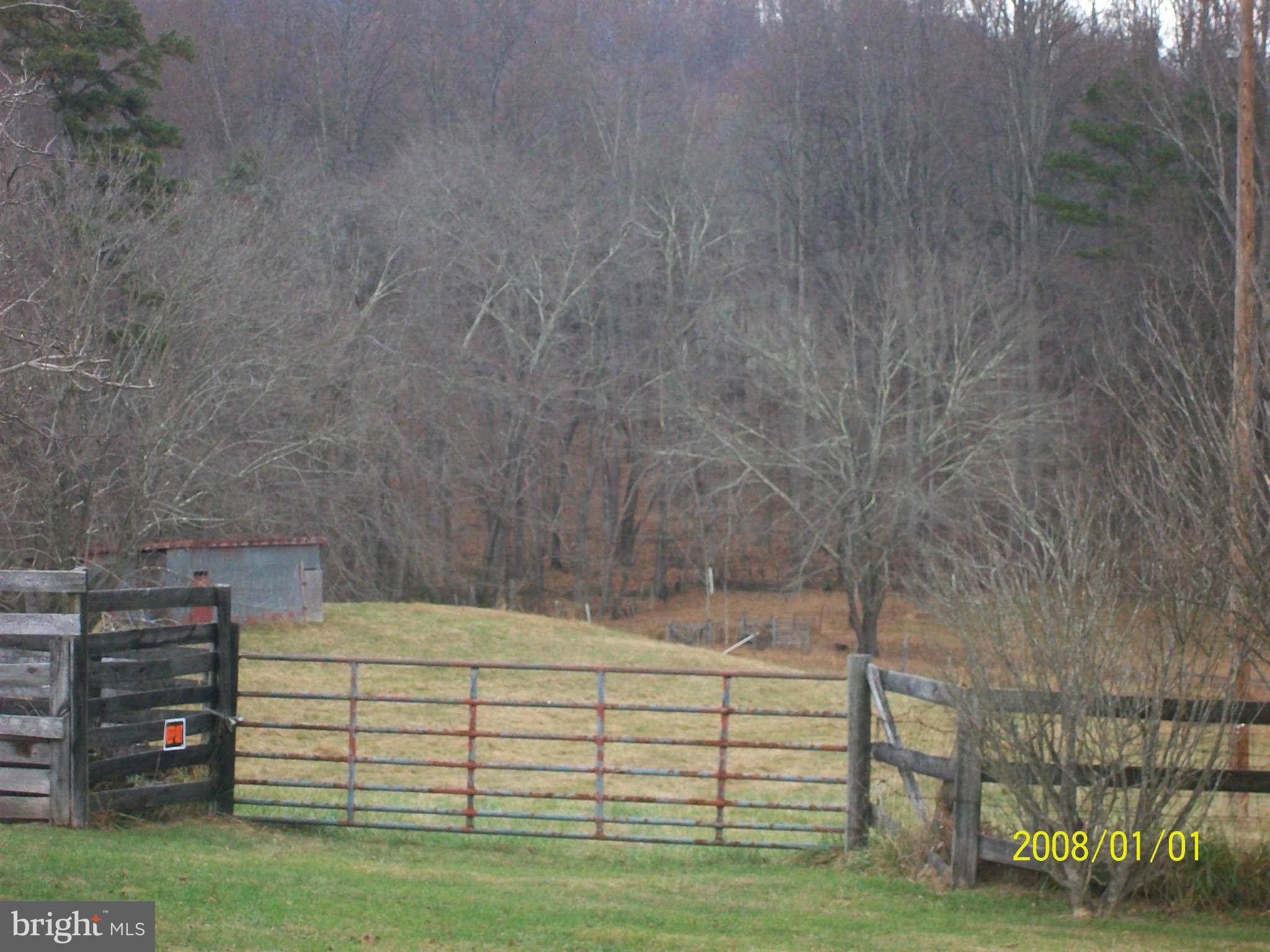 273 Scrabble Road Castleton, VA 22716 - Photo 3 of 5 Exterior (General)