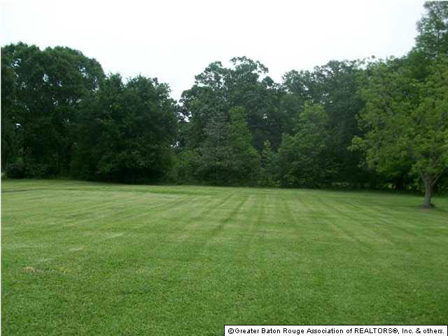 18366 Blythe Road Prairieville, LA 70769 - Photo 10 of 11