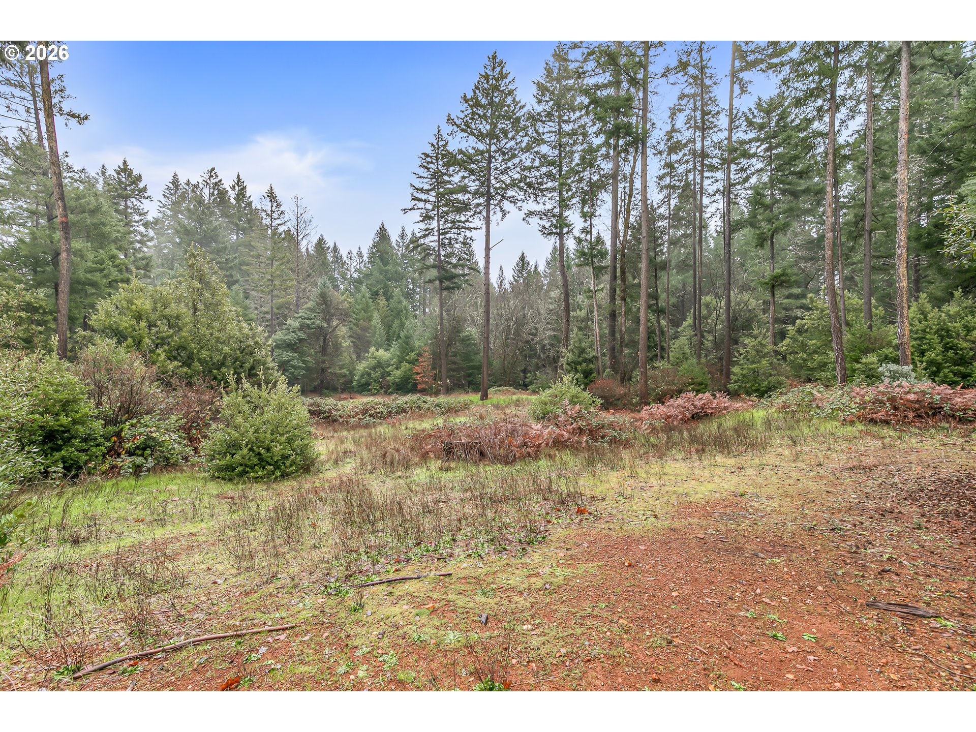 419 Idlewild Drive Cave Junction, OR 97523 - Photo 46 of 47 a view of a yard with trees in the background