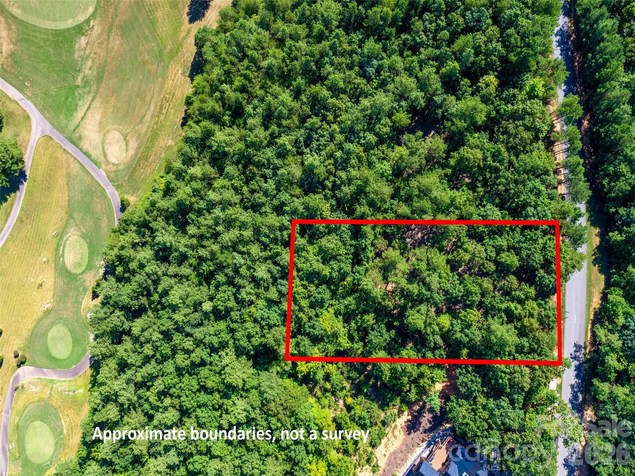 2026 Deep Gap Farm Road East Mill Spring, NC 28756 - Photo 3 of 33