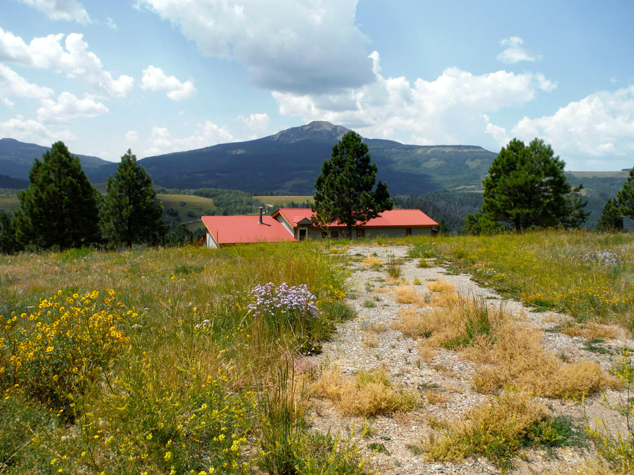 583 West Anderson Road Placerville, CO 81430 - Photo 1 of 36 Main Photo