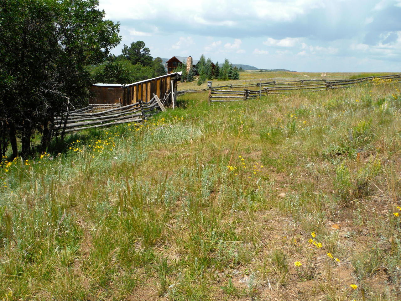583 West Anderson Road Placerville, CO 81430 - Photo 25 of 36 DSCF7249