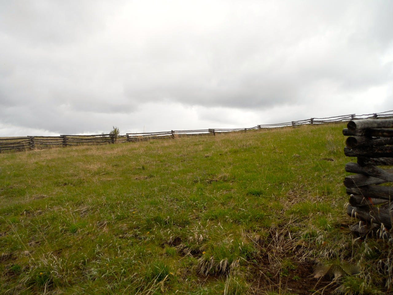 583 West Anderson Road Placerville, CO 81430 - Photo 27 of 36 DSCF2786