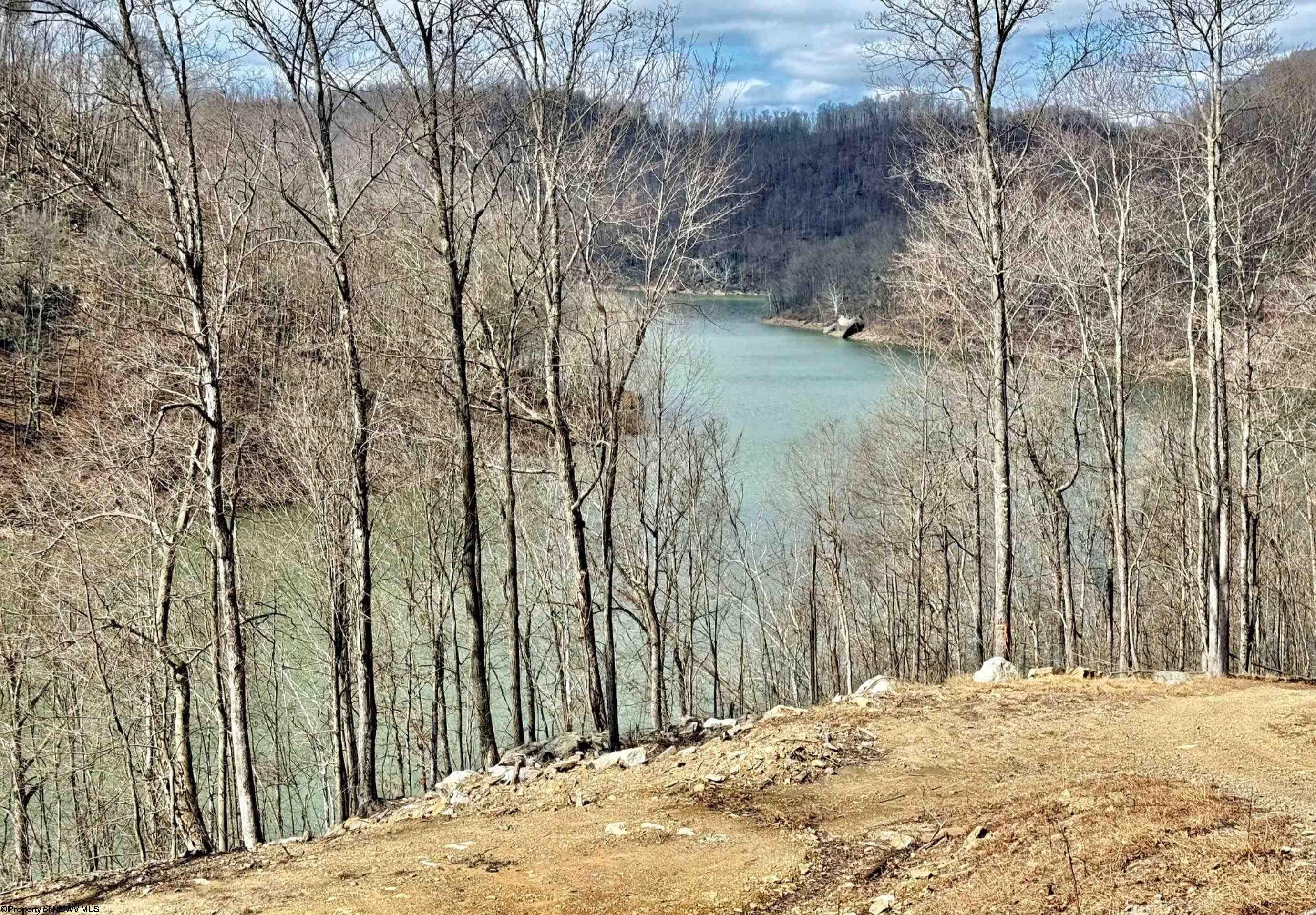 Lot 5 Brooklyn Road Parsons, WV 26287 - Photo 11 of 15 Gallery Image 11