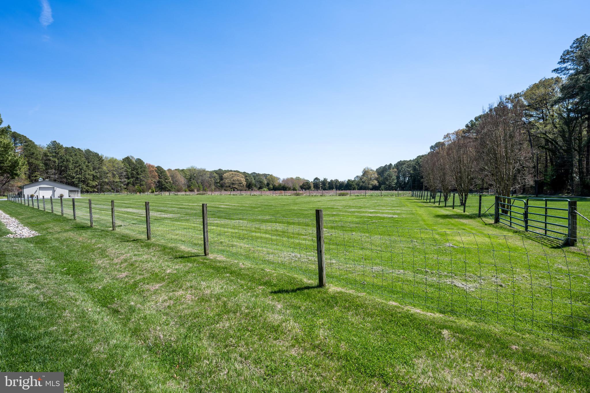 7909 Church Neck Road St. Michaels, MD 21663 - Photo 11 of 50 Property