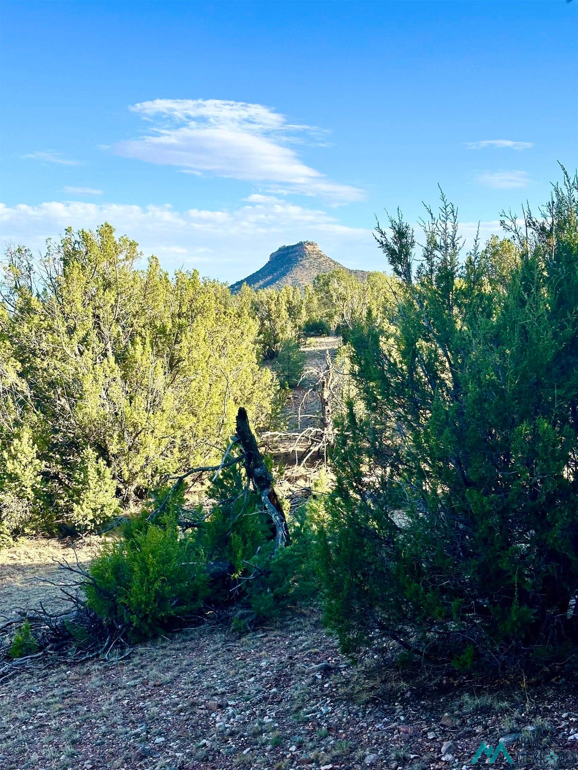 0 West Sena Ranch Road Serafina, NM 87569 - Photo 25 of 26 Gallery Image 25