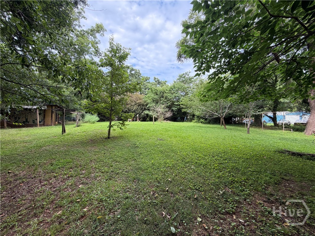 1054 College Station Road Athens, GA 30605 - Photo 14 of 16 Backyard (view from the rear of yard towards house)