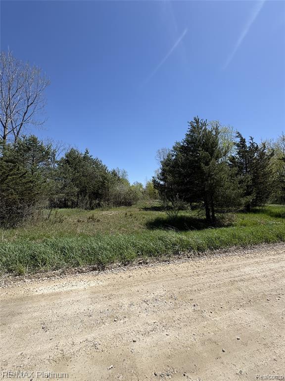 Parcel 7 Fisher Road Howell, MI 48855 - Photo 3 of 7