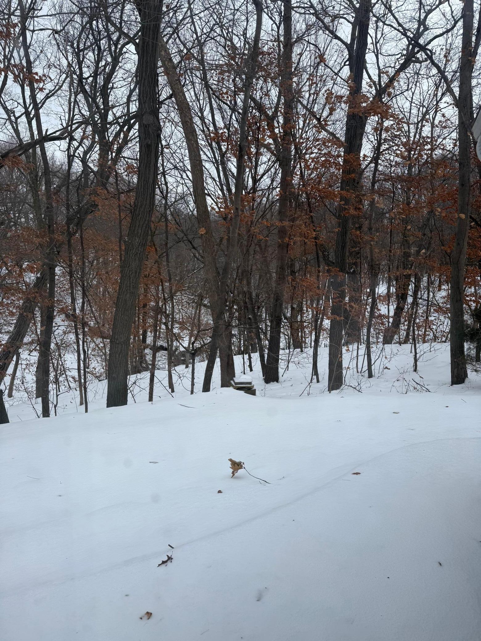 74 Cree Point Drive Mankato, MN 56001 - Photo 16 of 26