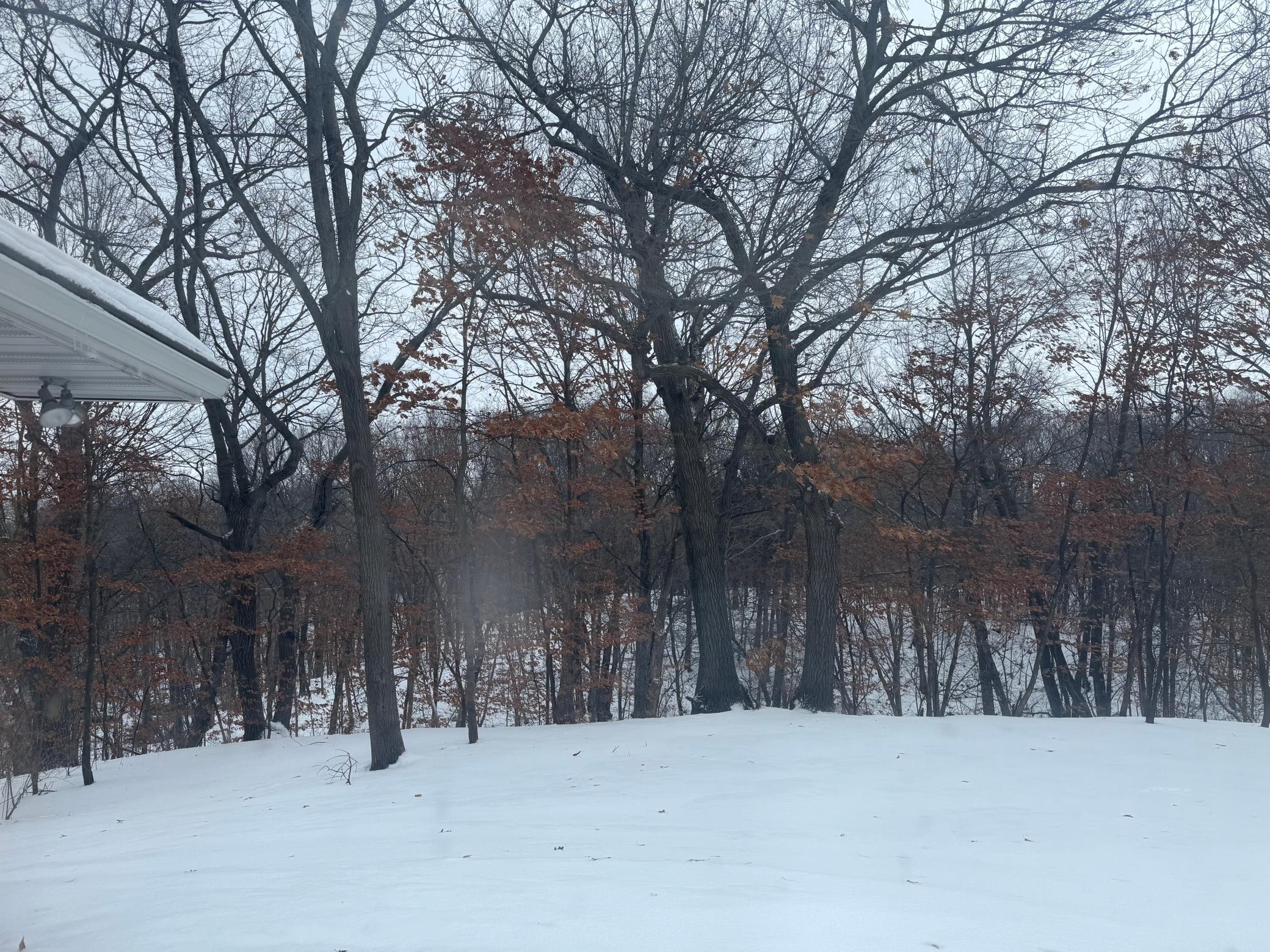 74 Cree Point Drive Mankato, MN 56001 - Photo 17 of 26