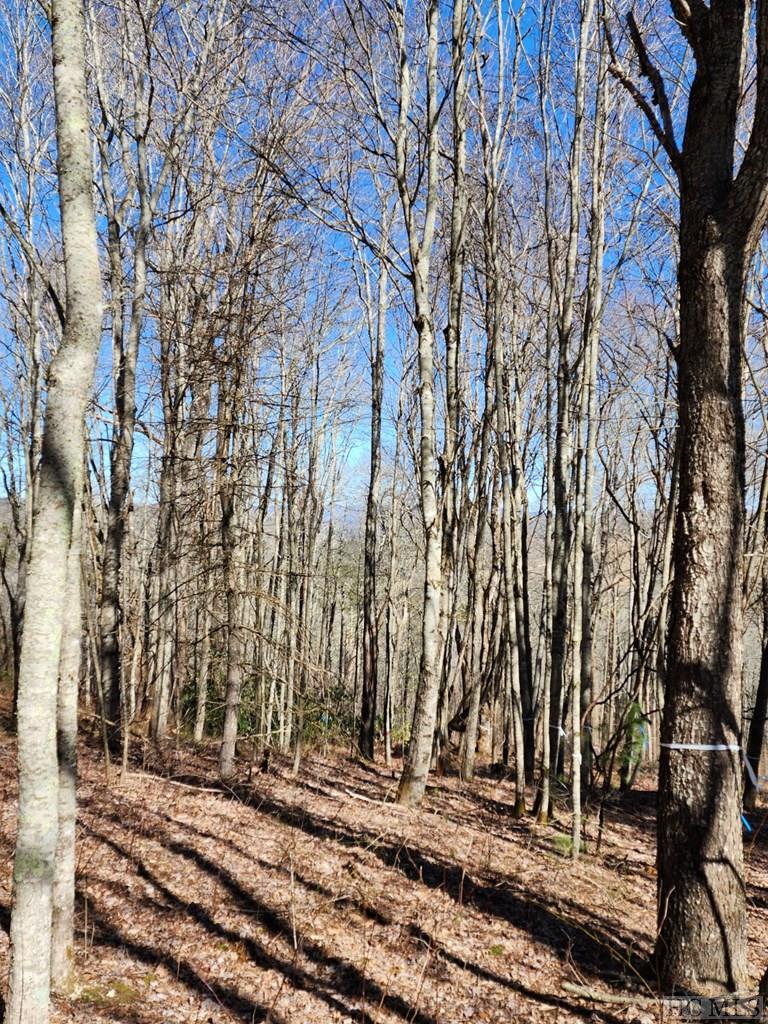 Lot # Springhead Trail Cullowhee, NC 28723 - Photo 4 of 4 Gallery Image 4