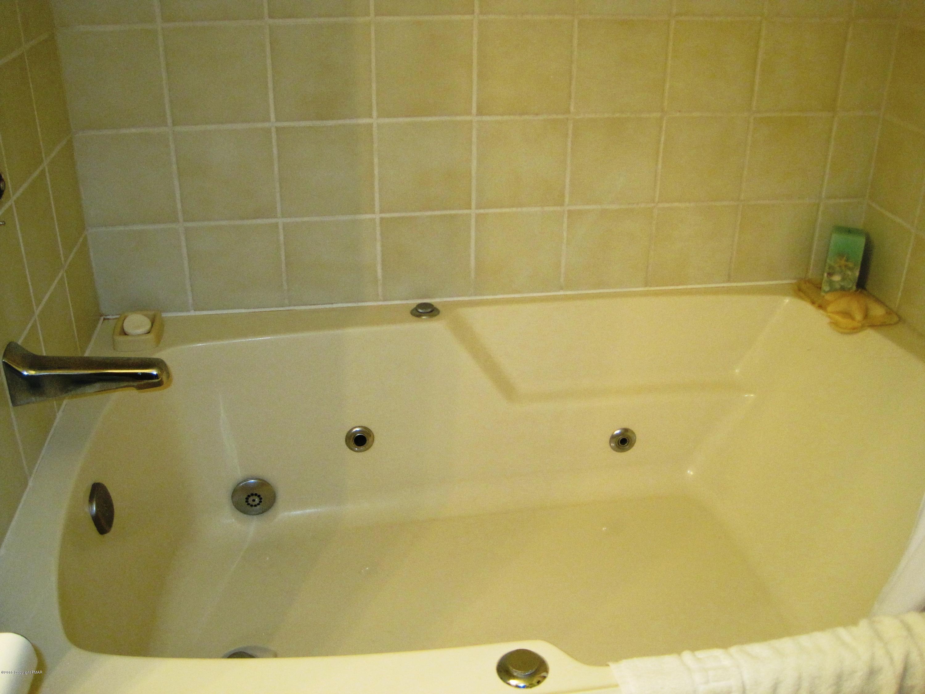157 Stream Court Bushkill, PA 18324 - Photo 13 of 16 MASTER TUB